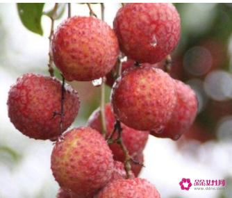 孕妇禁吃十大水果