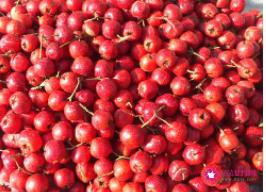 孕妇禁吃十大水果