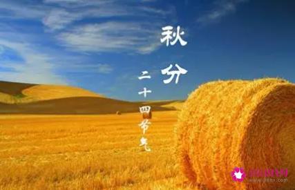 秋分吃什么食物
