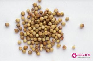 芫荽子读音是什么