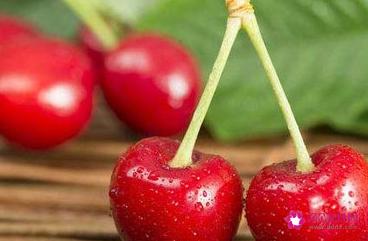 含糖量低的水果一览表