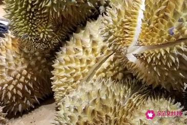 榴莲核的功效与作用