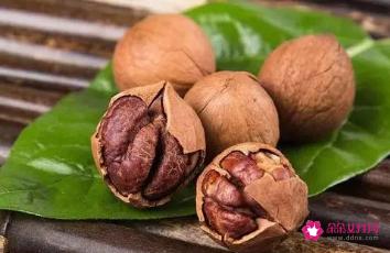 山核桃的营养价值与功效