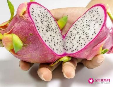 怀孕可吃火龙果吗