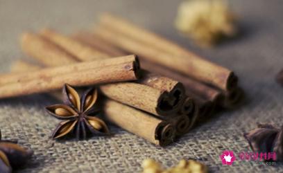 炖猪肉放几种香料最合适