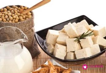 优质低蛋白饮食有哪些食物