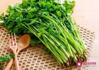 香菜煮水的功效与作用
