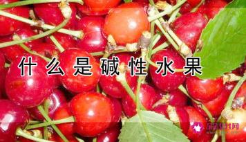什么是碱性水果