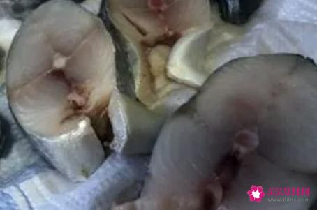 马鲛鱼的功效与作用