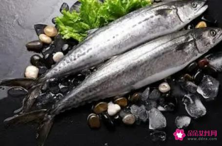 马鲛鱼的功效与作用