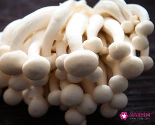 海鲜菇的营养价值及功效与作用