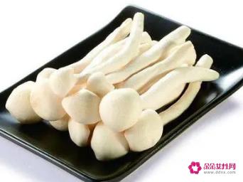 海鲜菇的营养价值及功效与作用