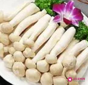 海鲜菇的营养价值及功效与作用