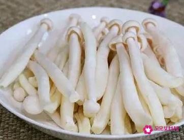 海鲜菇的营养价值及功效与作用