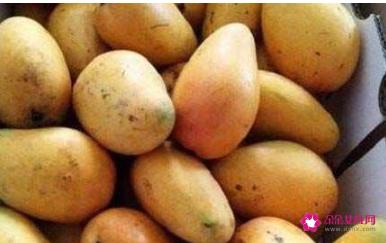 芒果怎么催熟呢