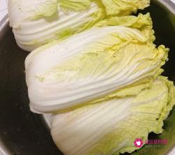 凉拌菜大全菜谱大全