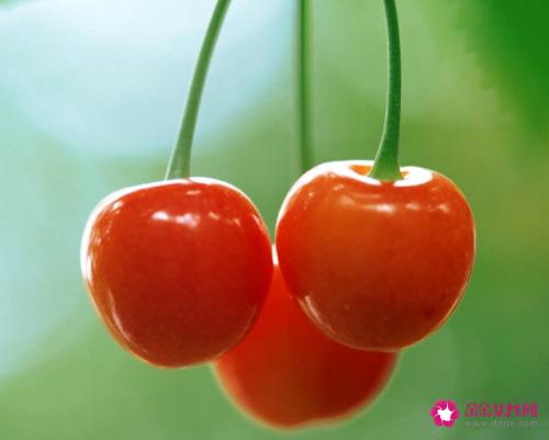车厘子和樱桃的区别及其功效