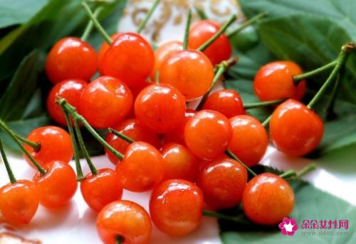 车厘子和樱桃的区别及其功效