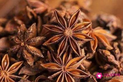 煮猪肉放什么料好吃