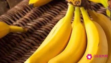 水果大全名字100种水果