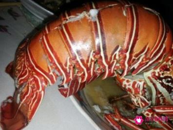 清蒸澳洲龙虾的做法