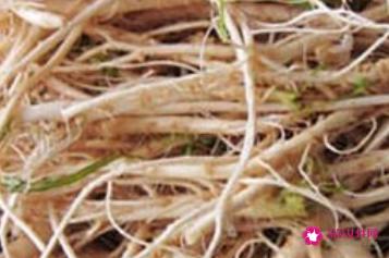 吃荠菜的禁忌是什么