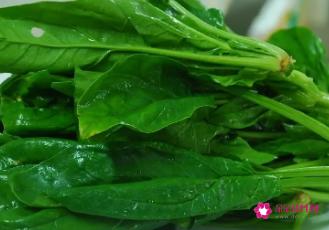 常见的100种蔬菜名称