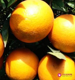水果保鲜剂对人体有害吗