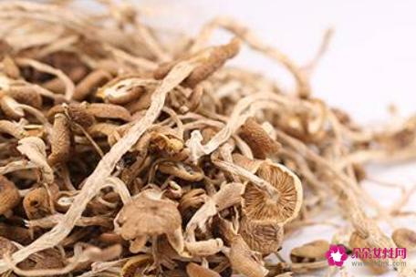 茶树菇的功效与作用