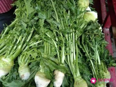 大头菜的营养价值及食用功效