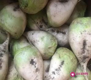 大头菜的营养价值及食用功效