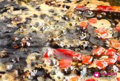 蒜苔的腌制方法 家常 正宗