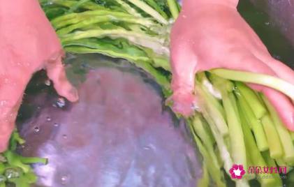 蒜苔的腌制方法 家常 正宗