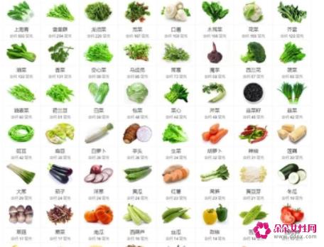 蔬菜种类及名称