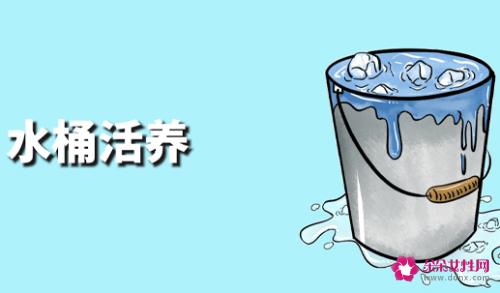 怎么蒸大闸蟹方法最正确