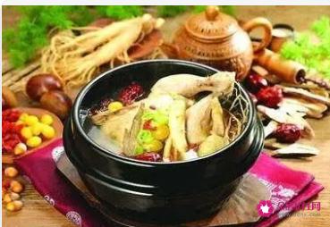 四季养生药膳食谱大全