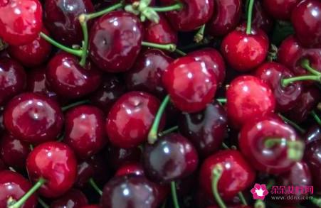 车厘子和樱桃是不是同一种水果