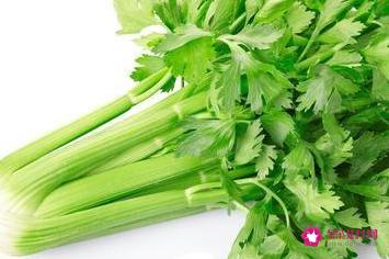 蔬菜怎么样才能保持新鲜