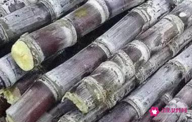 中国最甜的水果排名