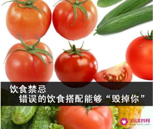 饮食禁忌搭配