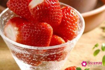 科学饮食小知识