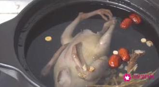 清炖鸽子汤的家常简单做法