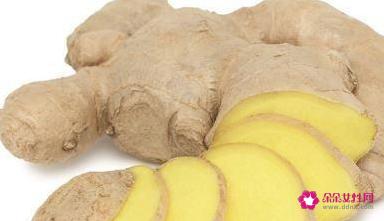 清炖鸽子汤的家常简单做法