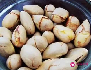 菠萝蜜的核怎么吃好吃