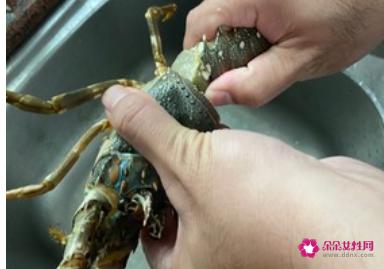 龙虾的做法家常做法