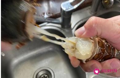 龙虾的做法家常做法