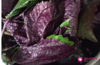 龙虾的做法家常做法