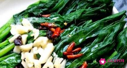 菠菜的育苗技术