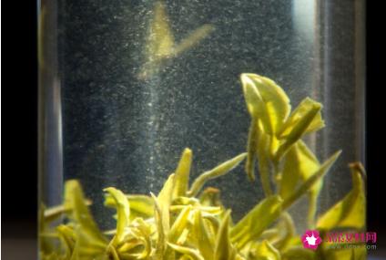 绿茶的冲泡方法