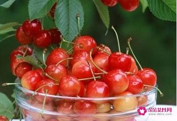 樱桃是热性还是凉性